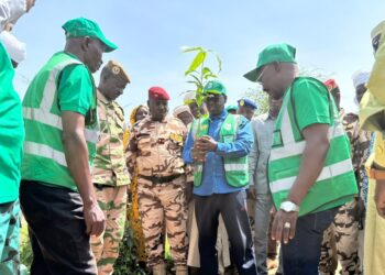 Sila : lancement de la 54ᵉ édition de la Semaine nationale de l’Arbre à Wadi-Garad avec la plantation de 219 plants