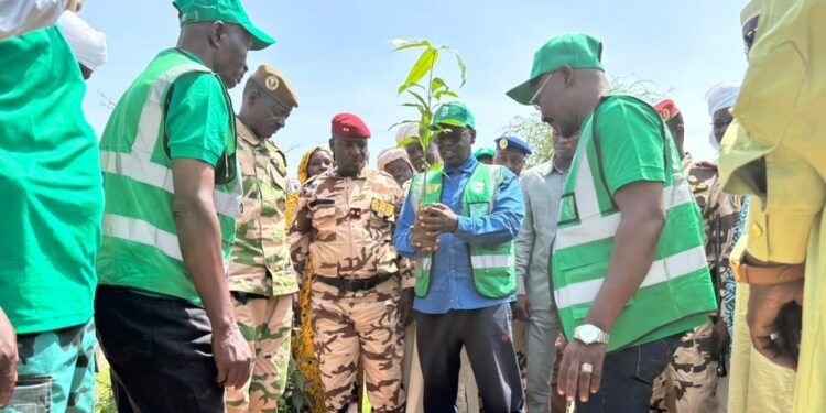 Sila : lancement de la 54ᵉ édition de la Semaine nationale de l’Arbre à Wadi-Garad avec la plantation de 219 plants