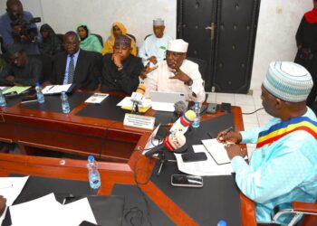 Tchad : Le ministre Haliki Choua Mahamat présente les avancées et défis du numérique devant le CESCE