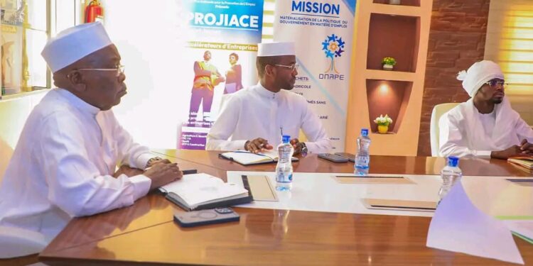Tchad : FNE, restitution des travaux du Secrétariat technique permanent