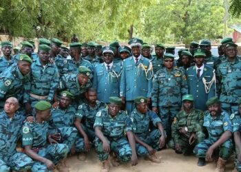 #Tchad : les Eaux et Forêts plaident pour l’application de leur statut particulier