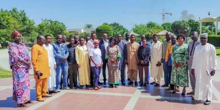 Tchad : Lancement de la revue du premier Plan national d&rsquo;adaptation aux changements climatiques