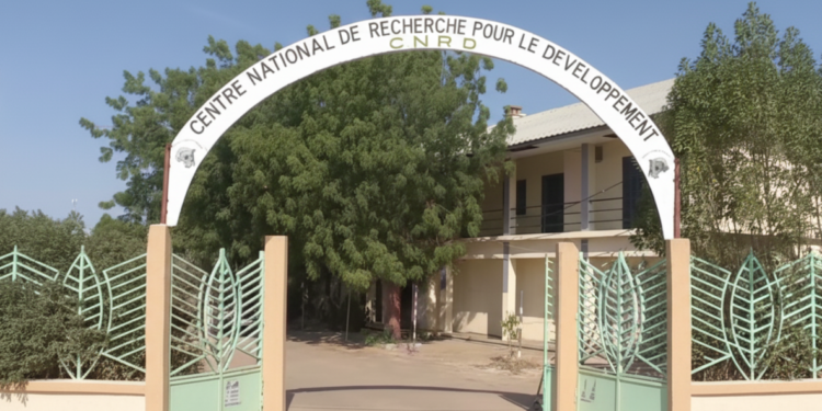 Tchad : L&rsquo;État officialise la création du Laboratoire d&rsquo;Intelligence Artificielle (LIDIA) au CNRD
