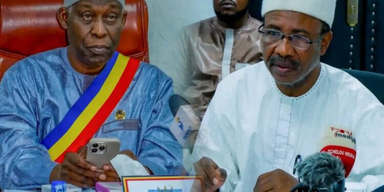 Tchad : le CESCE se penche sur l’avenir de la télémédecine