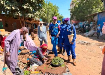 N&rsquo;Djamena : Grand coup de balai sur les voies publiques pour fluidifier la capitale