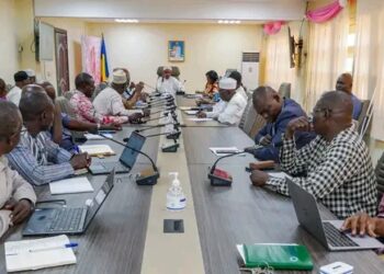 Lutte contre la dengue à N’Djamena , le ministère de la Santé et les édiles municipaux scellent une alliance sacrée​