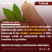 🇹🇩 ☘️ #La #minute #vertu : le manioc, ce trésor silencieux qui nourrit et protège l’Afrique