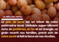 La minute vertu : Le pois de terre, le trésor caché des terres tchadiennes pour notre santé
