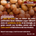 La minute vertu : Le pois de terre, le trésor caché des terres tchadiennes pour notre santé