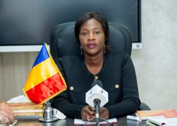 Tchad : Le ministère de la Femme renforce sa concertation avec les partenaires techniques et financiers