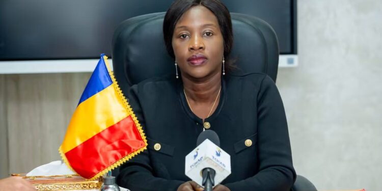 Tchad : Le ministère de la Femme renforce sa concertation avec les partenaires techniques et financiers