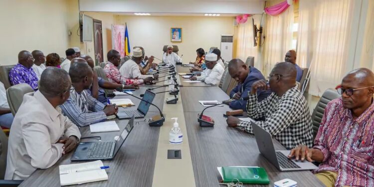 Tchad : Mobilisation multisectorielle à N&rsquo;Djamena pour freiner l&rsquo;épidémie de dengue