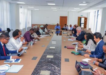 Tchad : le gouvernement et ses partenaires examinent les priorités pour les réfugiés et les communautés d’accueil