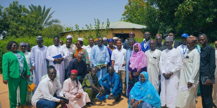 Tchad : L’approche « Enseignement au bon niveau » prête pour son déploiement dans 250 écoles