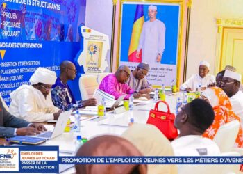🇹🇩 #Tchad : FNE 2026 , le comité d&rsquo;organisation passe à la vitesse supérieure à N’Djaména​