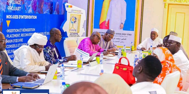 🇹🇩 #Tchad : FNE 2026 , le comité d&rsquo;organisation passe à la vitesse supérieure à N’Djaména​