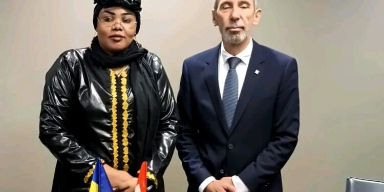 Le Tchad et la Suisse préparent l’après-urgence à Genève​