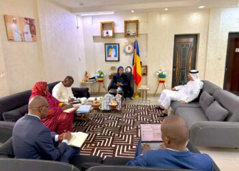 Le Tchad et les Émirats arabes unis resserrent leurs liens de coopération