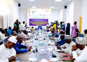 Tchad : Modernisation douanière, la DGDDI présente son plan stratégique 2026 à 2030