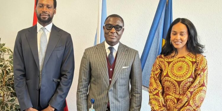 Diplomatie : Tchad, cap sur la participation au Forum de Davos 2027