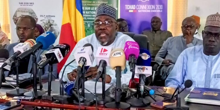 Tchad : Le SNET 2026 vise à transformer le potentiel pastoral en levier économique
