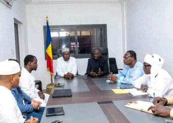 Tchad : Un projet d’usine pharmaceutique vétérinaire porté par des investisseurs tchadiens et indiens