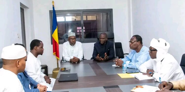 Tchad : Un projet d’usine pharmaceutique vétérinaire porté par des investisseurs tchadiens et indiens