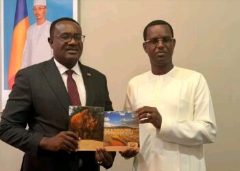 N’Djaména et Windhoek posent les jalons d’un partenariat culturel et touristique