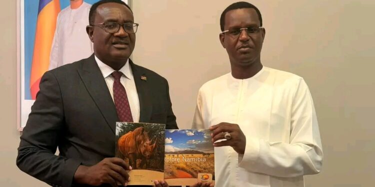 N&rsquo;Djaména et Windhoek posent les jalons d&rsquo;un partenariat culturel et touristique