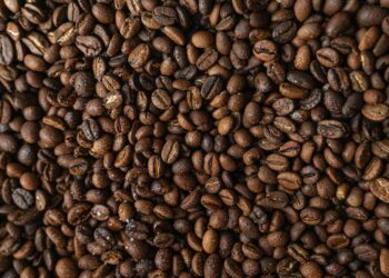 Tchad : La flambée des prix du café sur le marché et stratégies de survie des ménages