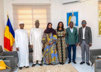 Tchad : Renforcement de la coopération dans les transports avec le Nigeria