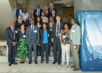 Le Tchad en quête de financements pour une agriculture résiliente​