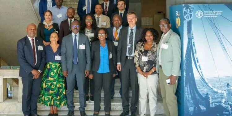 Le Tchad en quête de financements pour une agriculture résiliente