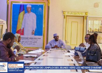 Tchad : L’ONAPE et les incubateurs unis pour propulser les entrepreneurs tchadiens