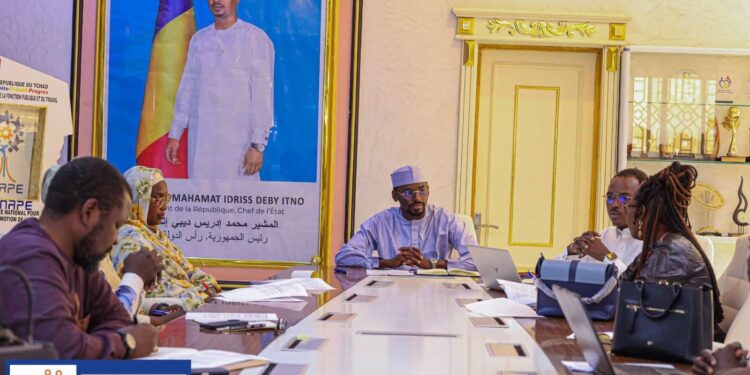 Tchad : L’ONAPE et les incubateurs unis pour propulser les entrepreneurs tchadiens