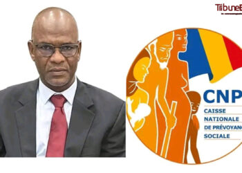 Tchad : Les retraités du Mayo-Kebbi Ouest expriment leur reconnaissance au DG de la CNPS