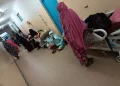 N’Djamena prise en étau entre le paludisme et la dengue